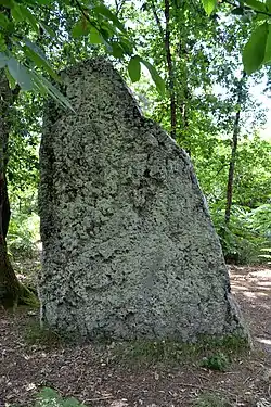 Image illustrative de l’article Menhir des Varennes de Cumeray