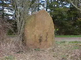 Menhir du Bois des Vallées