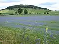 Le Brignon, paysage fleuri.