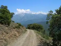 Le Canigou vu depuis Jujols.