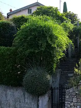 Villa le Bosquet du peintre Pierre Bonnard