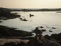 Rive de sable et de roche au bord d'une anse emplie d'eau calme laissant apparaître des algues.