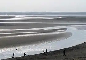 La baie de Somme, paysage emblématique de la côte picarde.