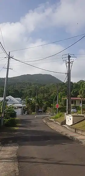 Le Dos d'Âne vu de Caféière