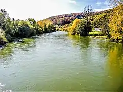 Le Doubs, en amont du pont de Bourguignon