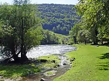 Paysage champêtre avec une rivière, des arbres et des prairies