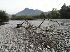 Le Drac : vue d'une berge de Fontaine (amont du Pont du Vercors).