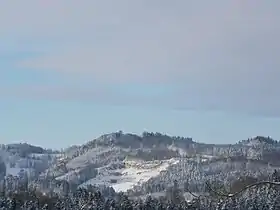 Vue du Faux Verger depuis la roche de Ruan.