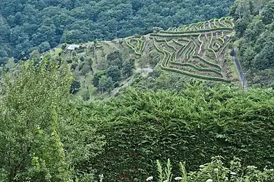 Le Fel et son vignoble AOC