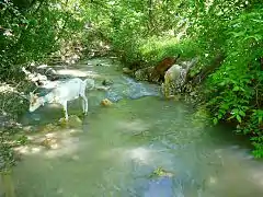 La rivière du Gabre , au sud-est des Selves des Boucs.