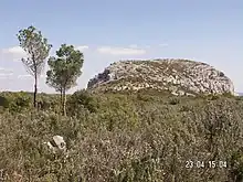 Le sommet du Garlaban côté nord.