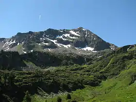 Le Grand Mont depuis l'alpage des Combettes au nord.