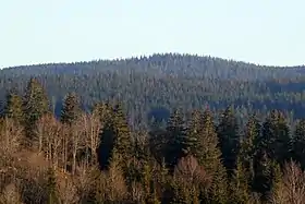 Le Gros Crêt vu des Pontets.