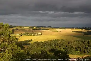 Point de vue sur des parcelles agricoles.