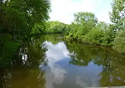 Le Loir, vu du pont du Breuil.