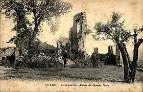 Ruines du château féodal.