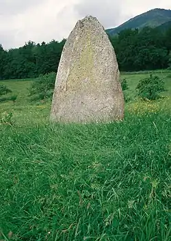 Image illustrative de l’article Menhir de Vauroux