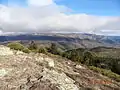 Mont Lozère vu depuis le signal de Ventalon.