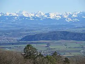 Image illustrative de l’article Mont Vully (site archéologique)