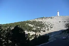 Vue sur les 3 derniers km à la sortie de la forêt.