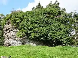 Vestige de mur d'enceinte au château du Plessis-Grimoult.