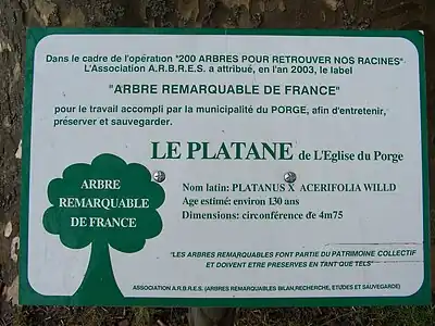 Le panneau du label d'arbre remarquable du platane (mars 2009)