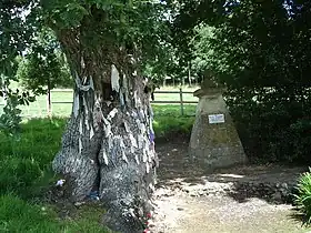 La source miraculeuse de Saint-Méen, avec le chêne millénaire.