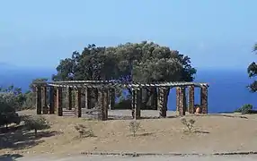 La pergola du Patec au Rayol.