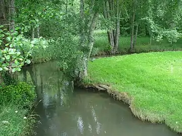 Le Salembre à Puy de Pont, en limite de Neuvic et Saint-Germain-du-Salembre.