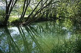 Le Suran à hauteur de Broissia (Jura).