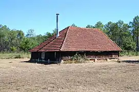 Cabane