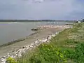 L'estuaire de la Canche, au nord de la plage.