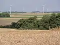 Paysage avec éoliennes.