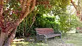 Banc dans le parc