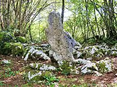 Menhir du Désert.