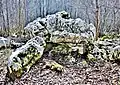 Dolmen de Trépot