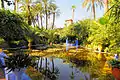 Jardin Majorelle (Maroc)