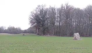 Le menhir vu depuis la route.