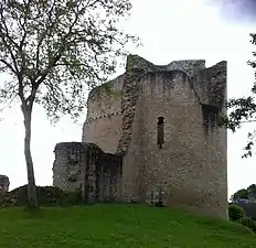 Vue extérieure d'une des deux tours et du mur d'enceinte (2016)