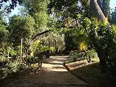 Photographie du parc avec allée et plantes exotiques de part et d'autre.