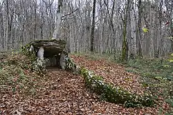 Dolmen du Bois de Monfarbeau, Ternant