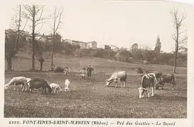 Le pré des Guettes