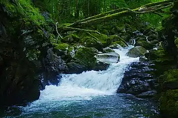 Le ruisseau en aval de la cascade.