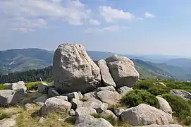 Le sommet du serre de Champ Maux.