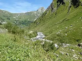 Vue du torrent des Glaciers dans la vallée des Chapieux.