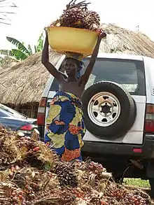 Femme venue verser des régimes de noix palmes pour exploitation à Pobè au Bénin.