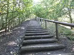 L'escalier menant au sommet du terril no 122.