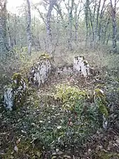 Dolmen de Leï Barto