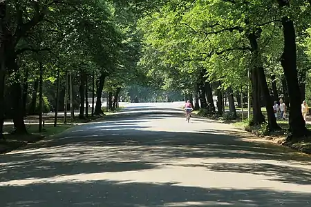 La véloroute Anton-Bruckner-Allee