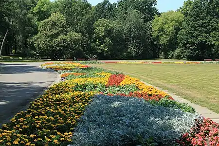 Parterre de fleurs